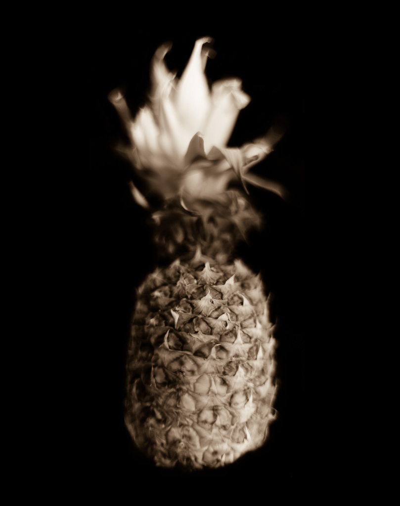 160314_LS911-Pineapple_F2.5-8bit-sepia_x1024.jpg